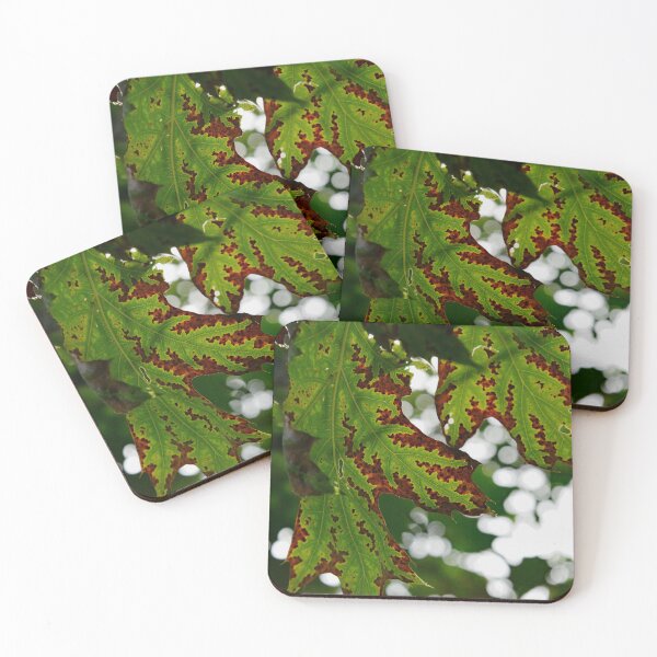 Item preview, Martindale Park designed and sold by RabbitHole13.