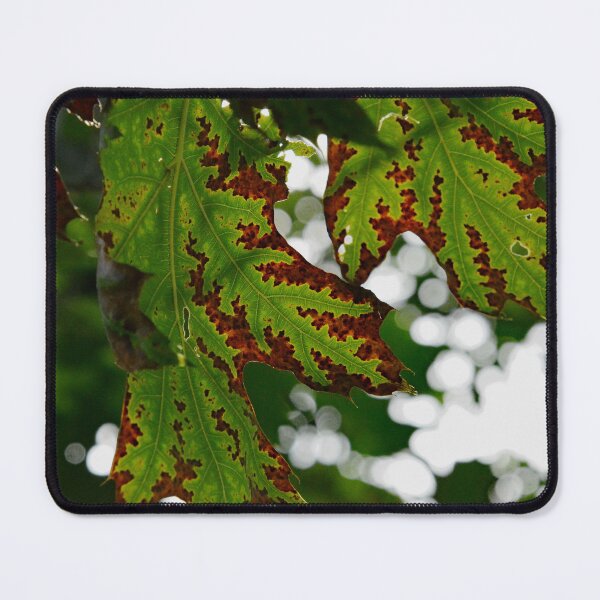 Item preview, Martindale Park designed and sold by RabbitHole13.