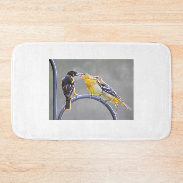 Item preview, Oriole Fledglings Being Fed designed and sold by Laurie Minor.