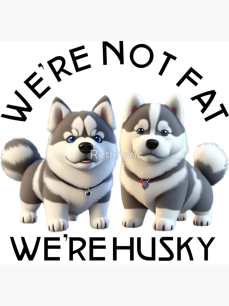 Chubby huskies sales