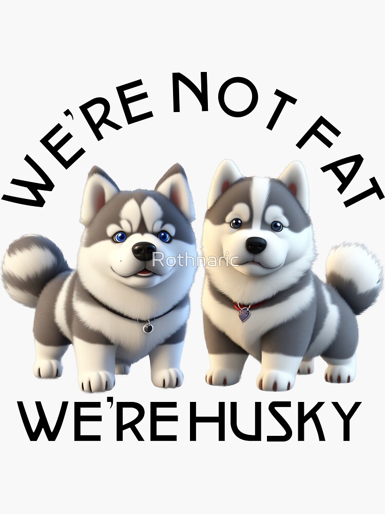 Fat 2024 fluffy husky