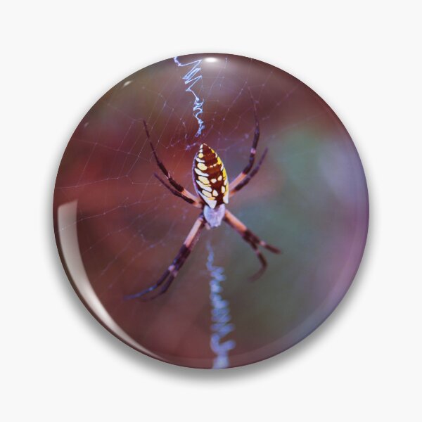 Item preview, Argiope Aurantia Spider designed and sold by okieshotsprints.