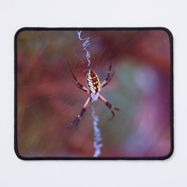 Item preview, Argiope Aurantia Spider designed and sold by okieshotsprints.