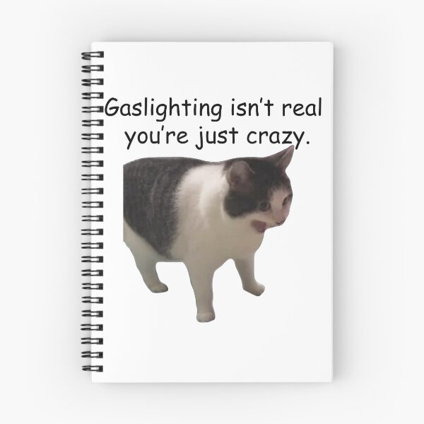 Item preview, Gaslighting isn't real [Matching] designed and sold by BreadIsGay.