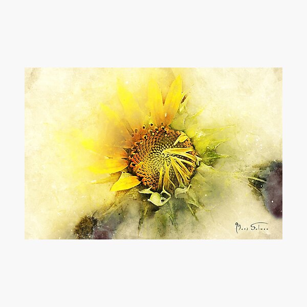 Item preview, Sunny Sunflower  designed and sold by Mark Salmon.