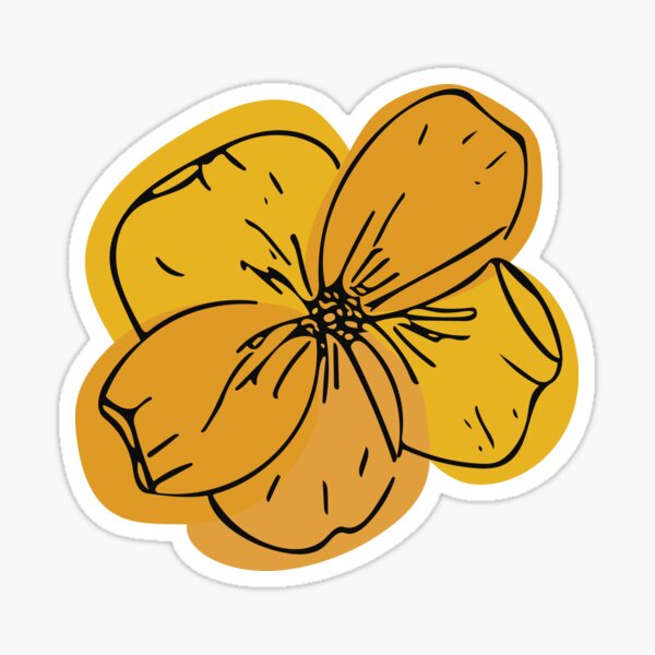 Buttercup Ranunculus Flower Sticker