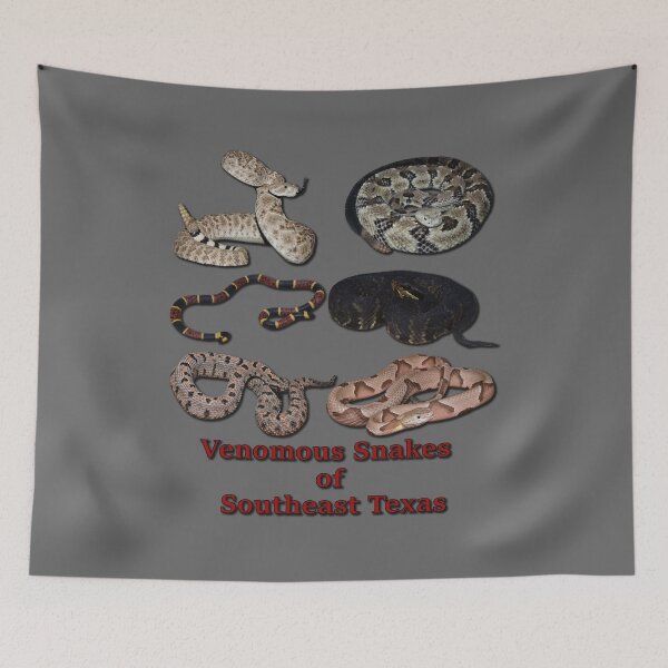 Item preview, Venomous Snakes of Southeast Texas designed and sold by Paul-Prints.