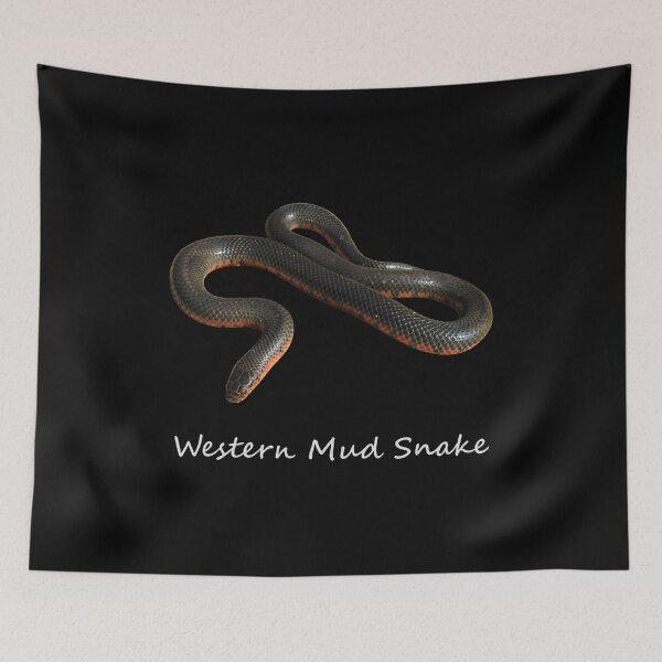 Item preview, Western Mud Snake designed and sold by Paul-Prints.