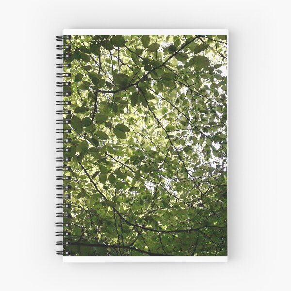 Item preview, Canopy designed and sold by JamesTH.