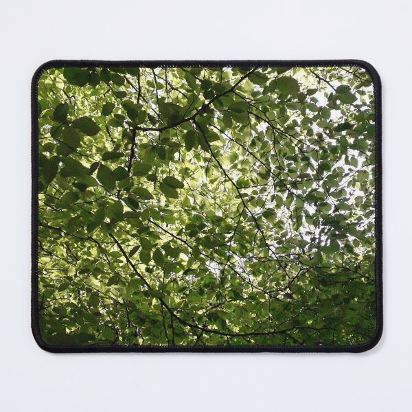 Item preview, Canopy designed and sold by JamesTH.