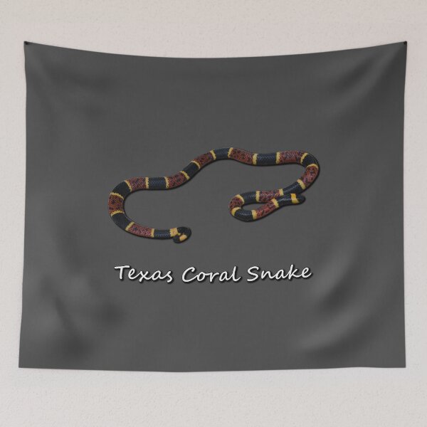 Item preview, Texas Coral Snake designed and sold by Paul-Prints.