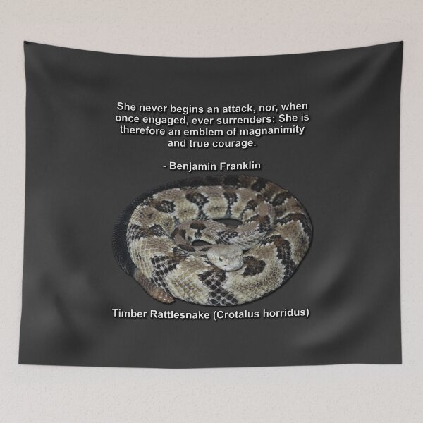 Item preview, Timber Rattlesnake designed and sold by Paul-Prints.