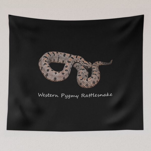 Item preview, Western Pygmy Rattlesnake designed and sold by Paul-Prints.