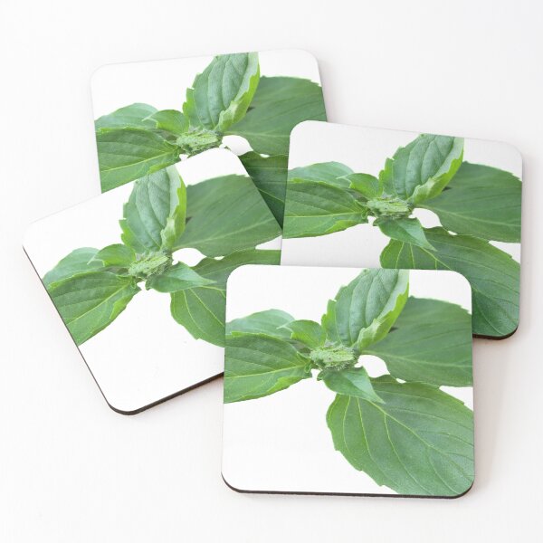 Item preview, Mint designed and sold by Asiamo.