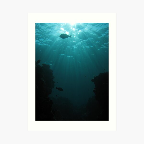 Ocean Realm Art Print