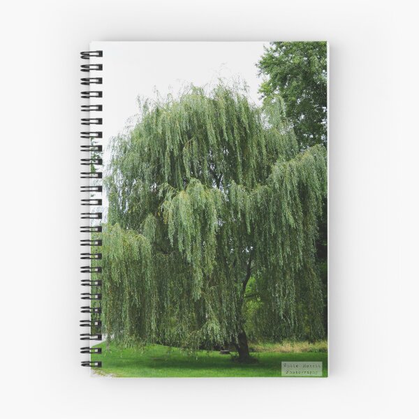 Item preview, Martindale Park designed and sold by RabbitHole13.
