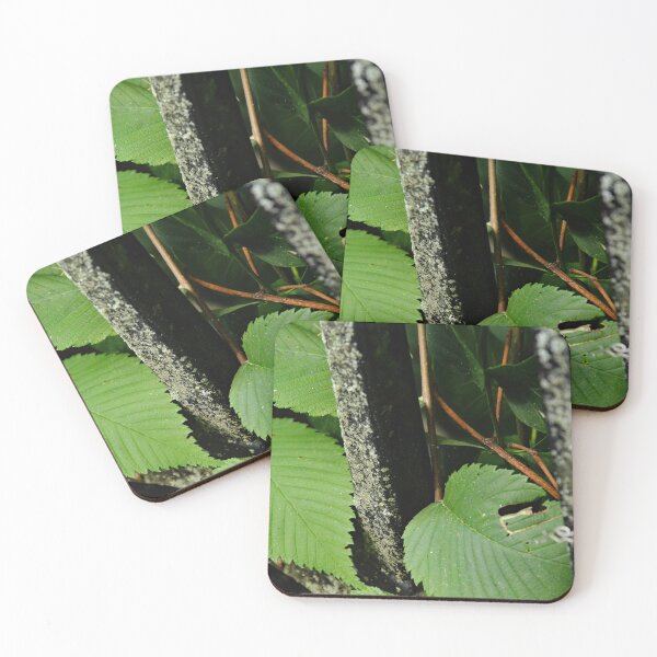 Item preview, Martindale Park designed and sold by RabbitHole13.