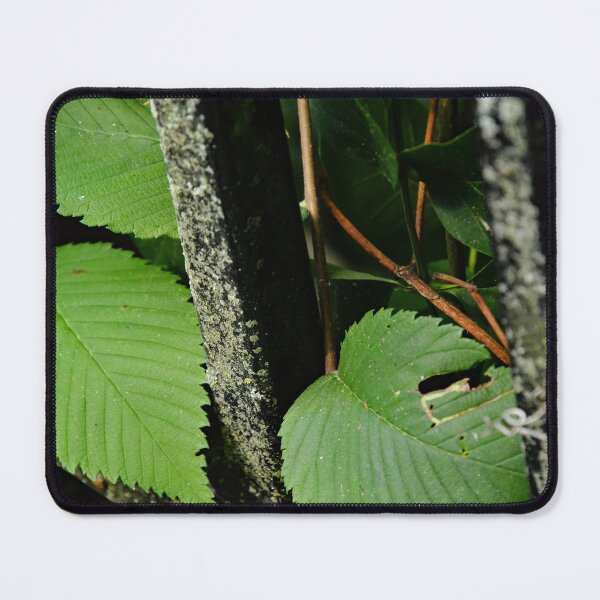 Item preview, parque martindale designed and sold by RabbitHole13.
