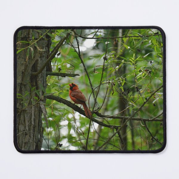 Item preview, Martindale Park designed and sold by RabbitHole13.