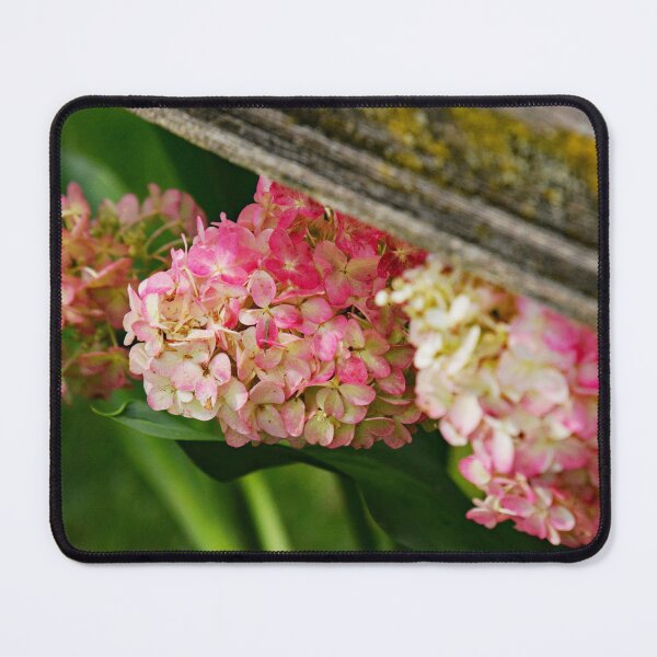 Item preview, Martindale Park designed and sold by RabbitHole13.