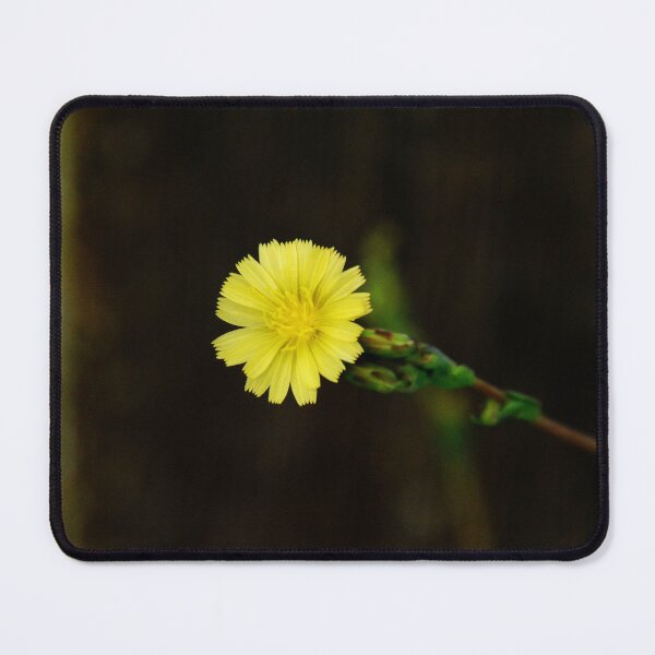 Item preview, Martindale Park designed and sold by RabbitHole13.