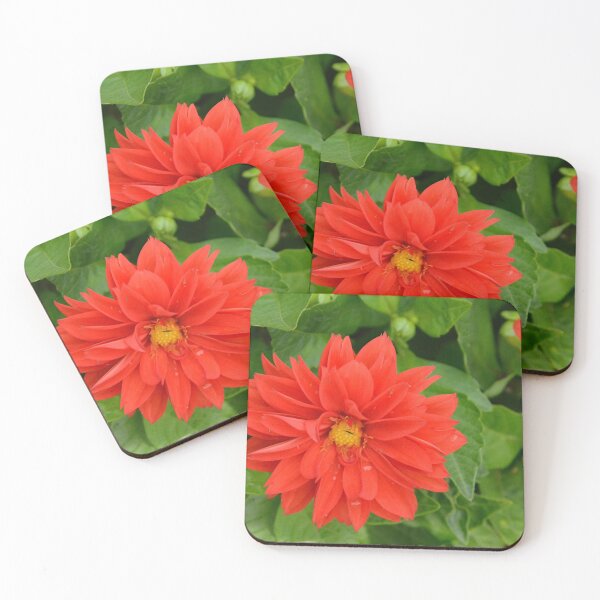Item preview, Martindale Park designed and sold by RabbitHole13.
