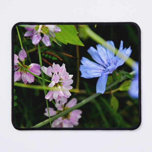Item preview, Martindale Park designed and sold by RabbitHole13.