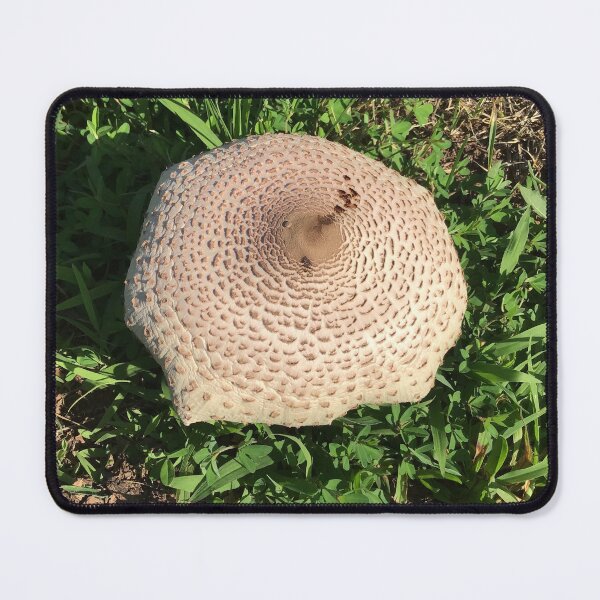 Item preview, Big Wild Mushroom designed and sold by CJRPics.