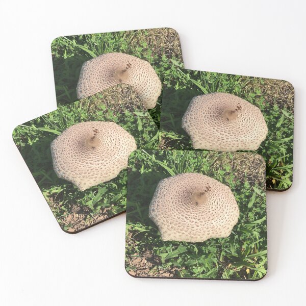 Item preview, Big Wild Mushroom designed and sold by CJRPics.