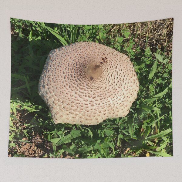 Item preview, Big Wild Mushroom designed and sold by CJRPics.