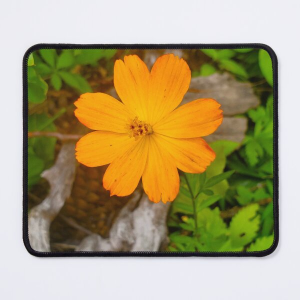 Item preview, Sulfur Cosmos  designed and sold by etherealwonders.
