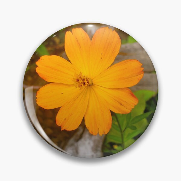 Item preview, Sulfur Cosmos  designed and sold by etherealwonders.