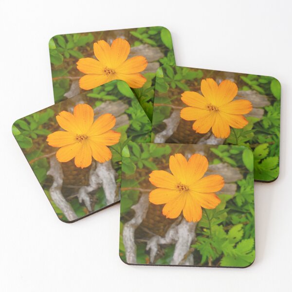 Item preview, Sulfur Cosmos  designed and sold by etherealwonders.