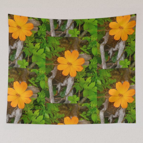 Item preview, Sulfur Cosmos  designed and sold by etherealwonders.