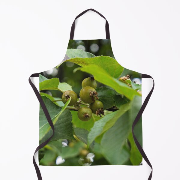 Item preview, Unripe Fruit designed and sold by Gavin Orsetti.