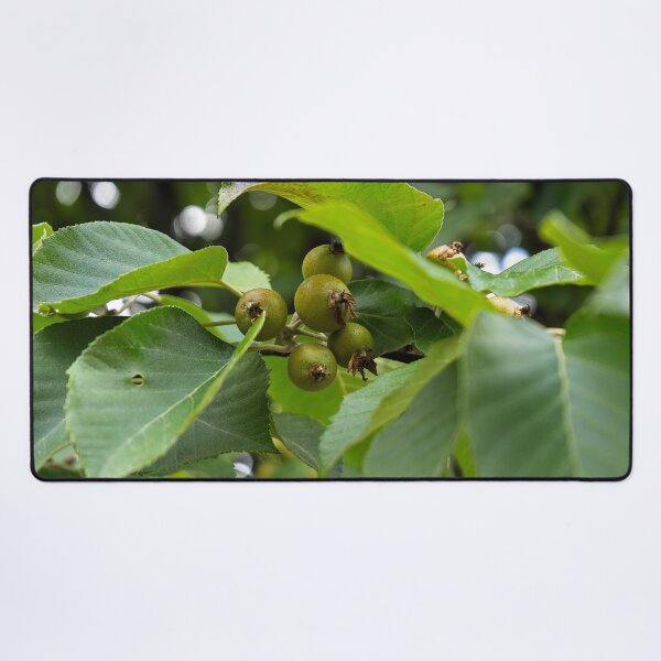 Item preview, Unripe Fruit designed and sold by Gavin Orsetti.