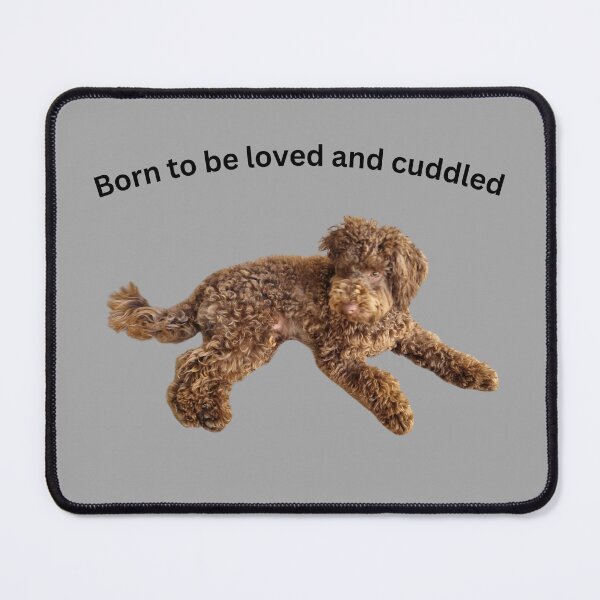 Item preview, Born to be loved and cuddled poodle designed and sold by Debsgiftware Ward.