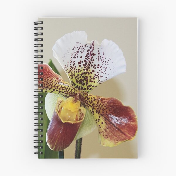 Item preview, Slipping Toward Spring designed and sold by Monnie Ryan.