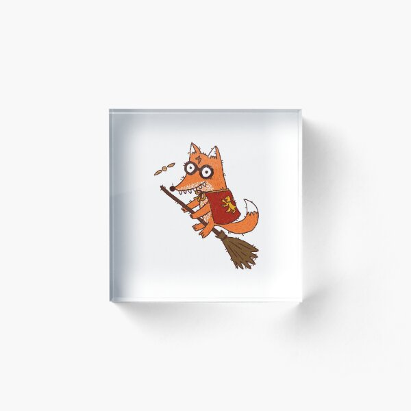 Hairry Foxter and the golden Snitch Acrylic Block