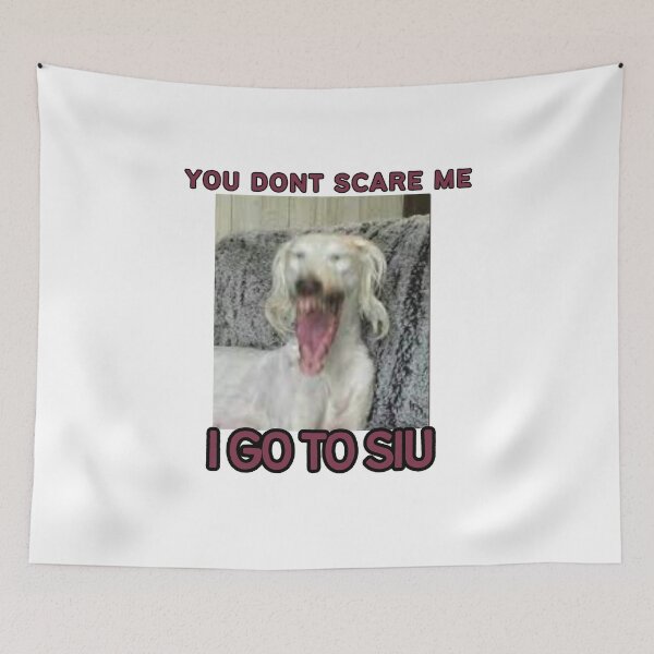 Item preview, You Don't Scare Me, I go to SIU - Rage version designed and sold by KaalicoCanvas.