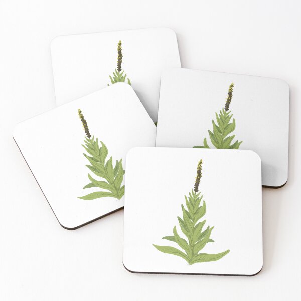 Item preview, Mullein designed and sold by Thur.