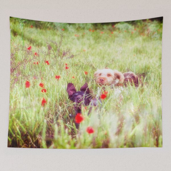 Item preview, Poppy Adventure Spinone designed and sold by FOLK ART FUSION by heidiannemorris.