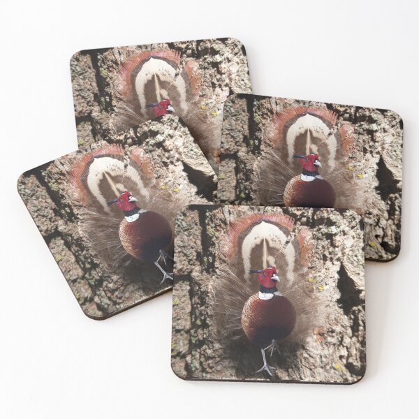 Item preview, Pheasant Feathers in the Woods designed and sold by cameoivory.