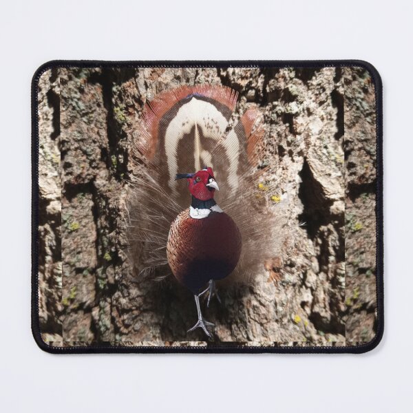 Item preview, Pheasant Feathers in the Woods designed and sold by cameoivory.