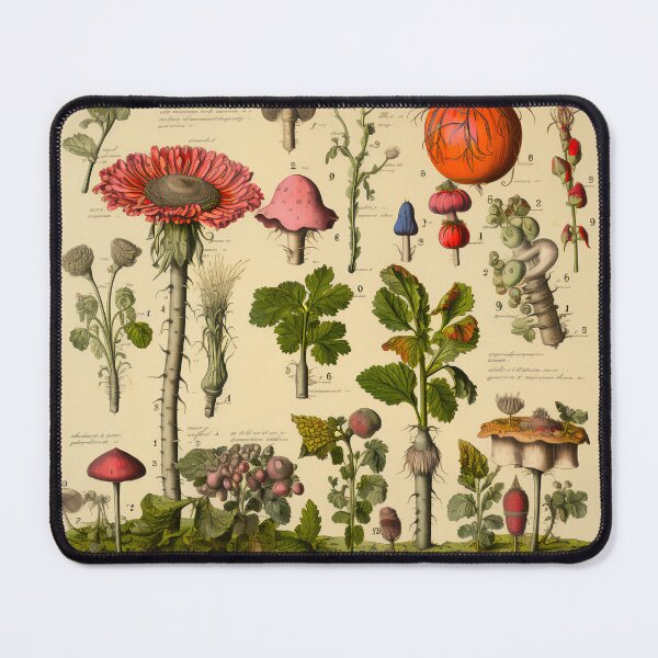 Item preview, Old Plant Drawings of Horticulture and Botany designed and sold by BrandonArtWorld.
