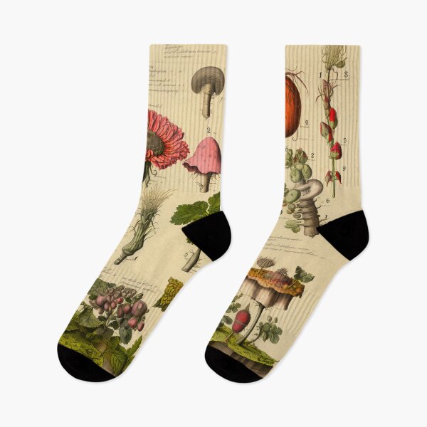 Item preview, Old Plant Drawings of Horticulture and Botany  designed and sold by BrandonArtWorld.