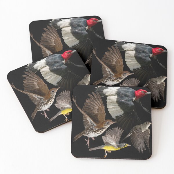 Item preview, Woodland Bird Species at Risk designed and sold by brendonstuff.
