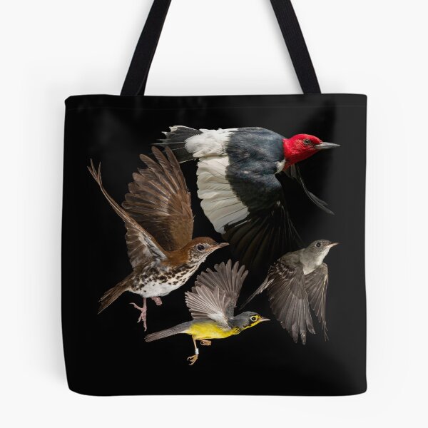 Item preview, Woodland Bird Species at Risk designed and sold by brendonstuff.