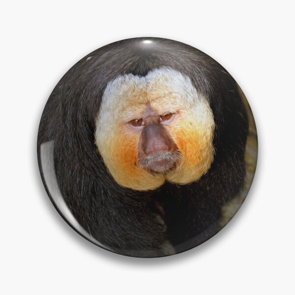 Item preview, White Faced Saki Monkey  designed and sold by Savannah Gibbs.
