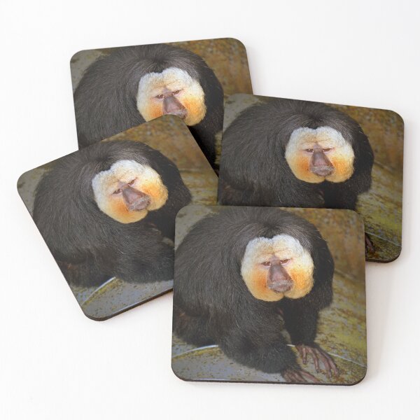 Item preview, White Faced Saki Monkey  designed and sold by Savannah Gibbs.